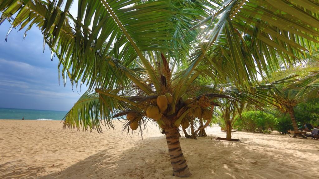 Mangrove Beach Cabana Tangalle Kültér fotó
