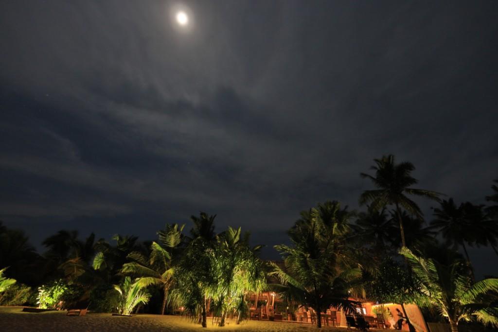 Mangrove Beach Cabana Tangalle Kültér fotó