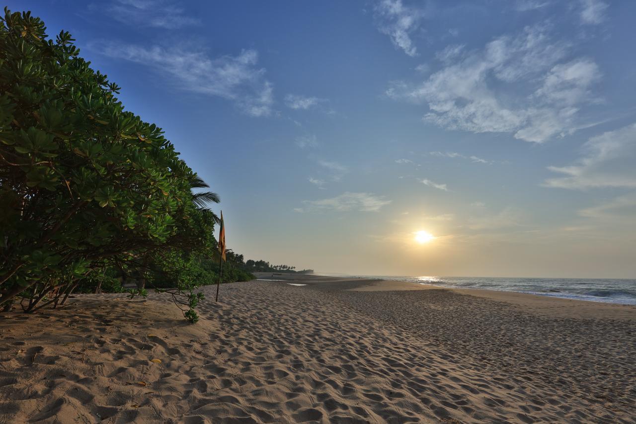 Mangrove Beach Cabana Tangalle Kültér fotó